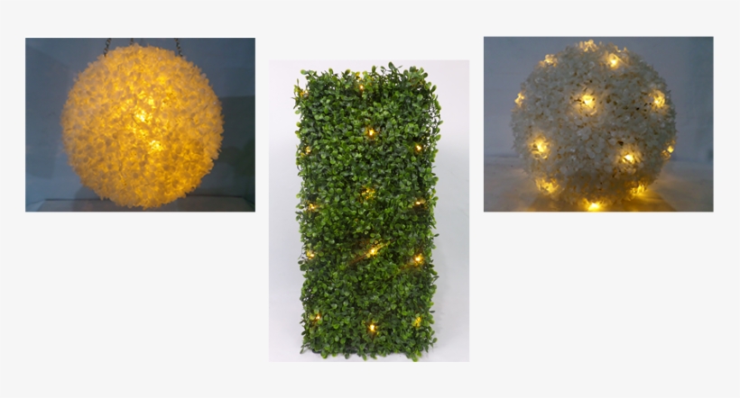 Faux Topiary Trees With Led Lights - Tree, transparent png download