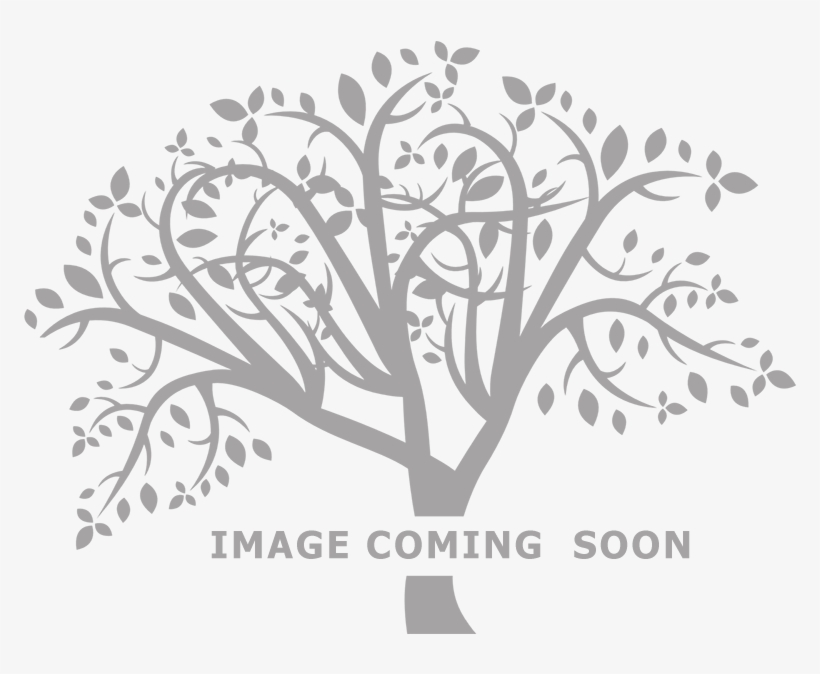 Bold, Lush Appearance From A Full Branching, Richly - Slogan On Global Warming, transparent png download