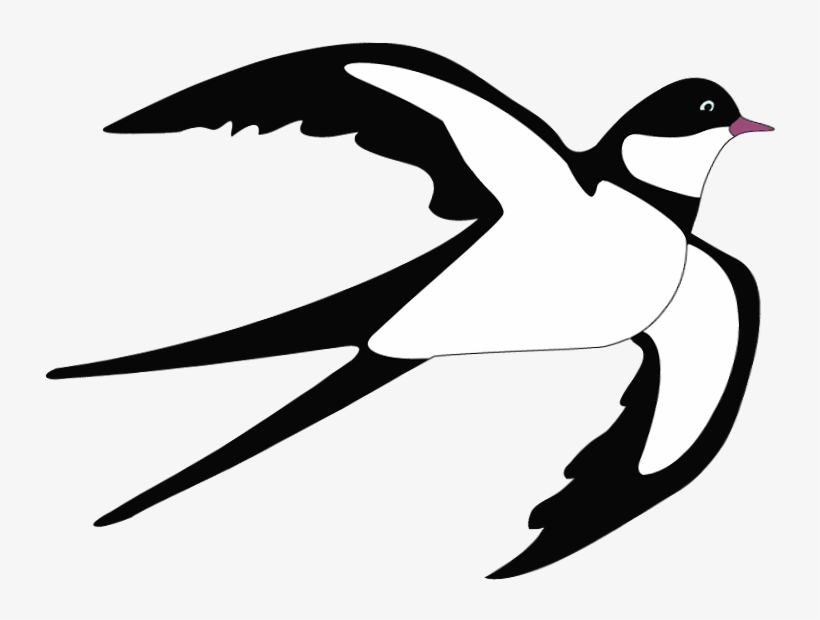 Picture Free Swallow Png Clipart - Swallow Clipart, transparent png download
