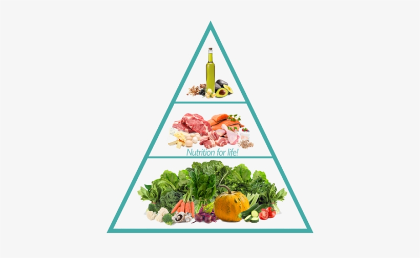 Followed By A Palm To Hand-sized Portion Of Protein - Healthy Food Pyramid 2018, transparent png download