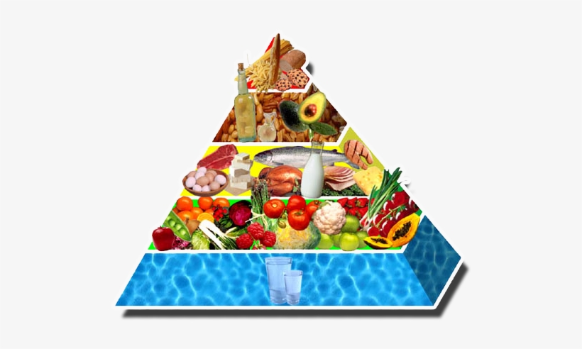 Food Pyramid - Crossfit Diet, transparent png download