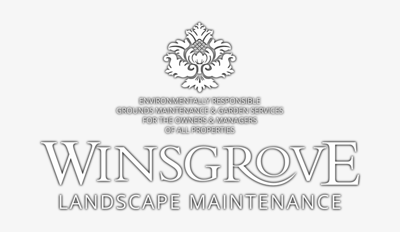 Winsgrovelogo Wt 50 - Portable Network Graphics, transparent png download