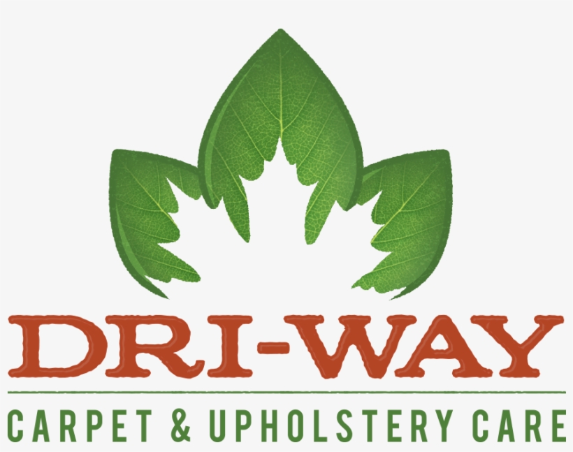 Best Carpet Cleaning Business Opportunities PNG Image Transparent PNG