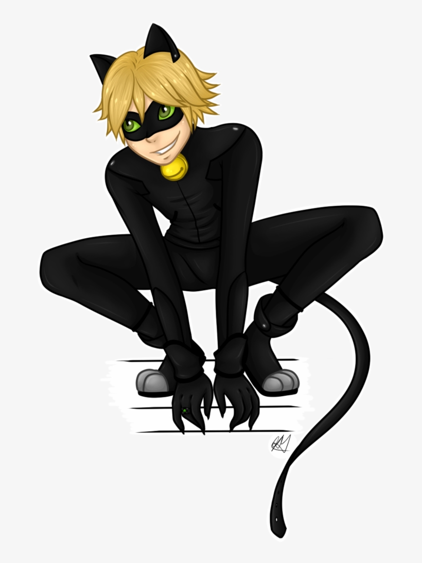 Lady Bug E Cat Noir - Camiseta Personalizada Cat Noir, transparent png download