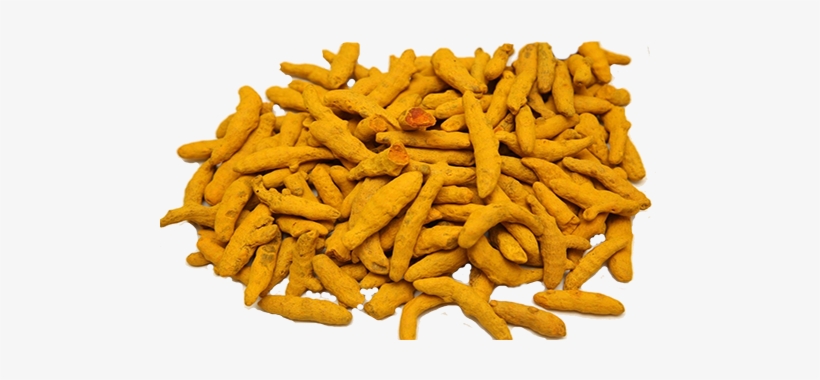 Turmeric - Turmeric Fingers, transparent png download