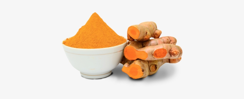 Leaky Gut - Ebola Virus Home Remedies, transparent png download