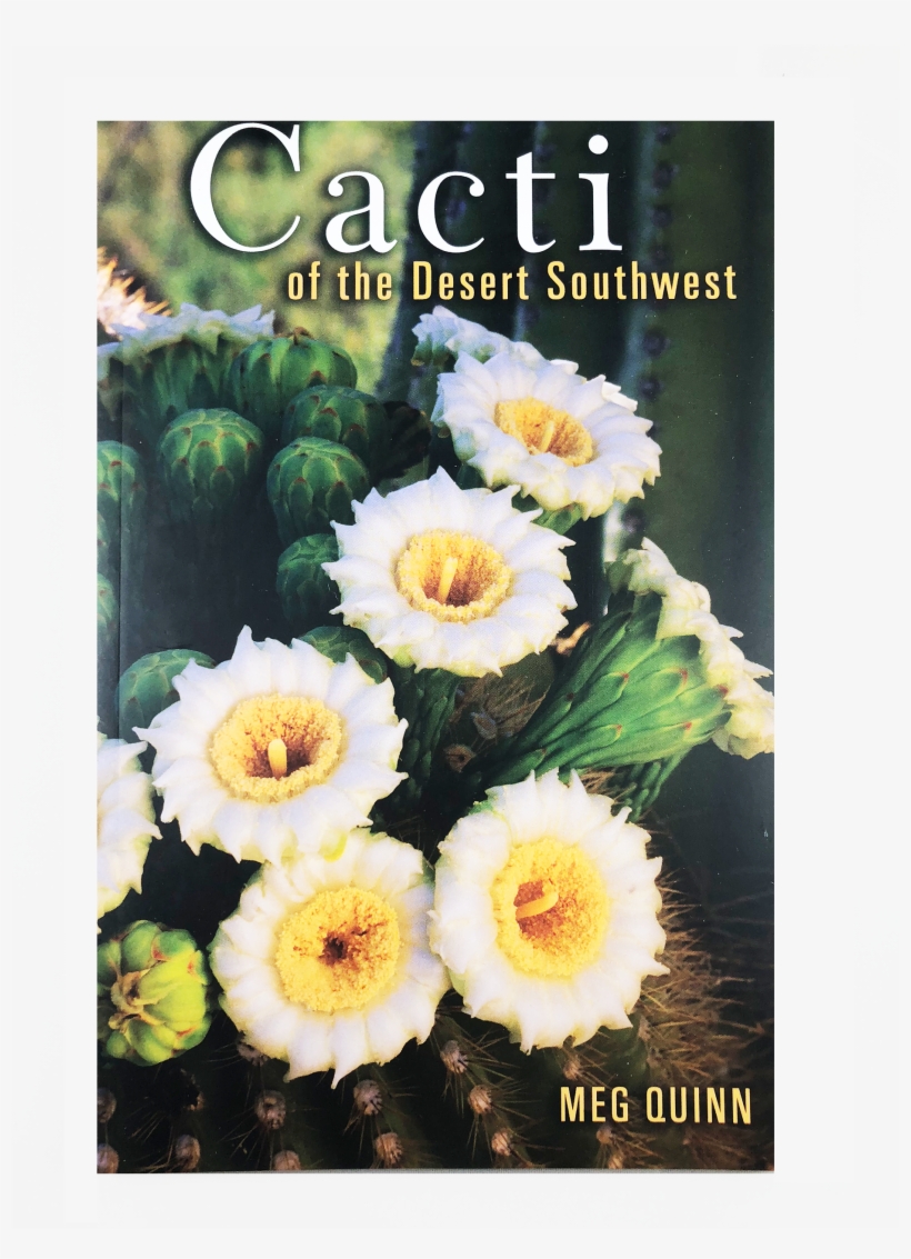 Cactus With White Spines Flowers, transparent png download