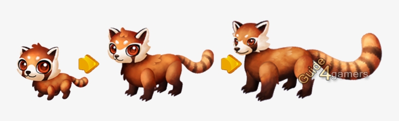 Ffs Red Panda Complete Growth - Fantasy Forest Story Red Panda, transparent png download