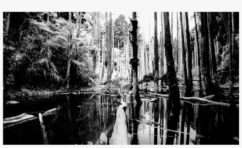 Png Transparent Library Grayscale Big Image Png - Black And White Swamp, transparent png download