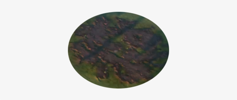 Swamp - Snake, transparent png download