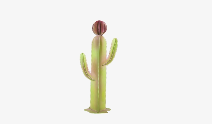 Baja Desert Cactus - Cactus, transparent png download
