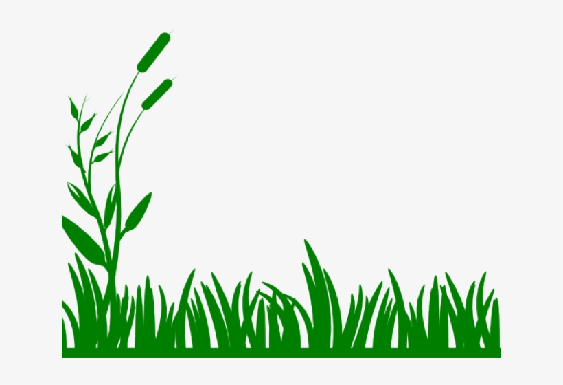 Swamp Clipart Clip Art - Grass Clip Art Black And White, transparent png download