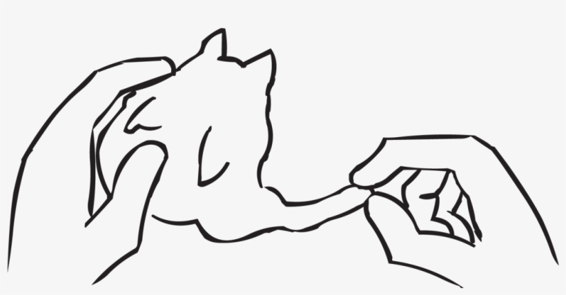 Play-dough Debrief - Sketch, transparent png download