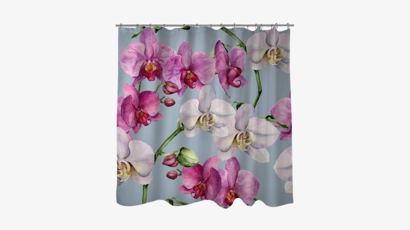 Watercolor Pattern With White And Pink Orchids - Moth Orchid, transparent png download