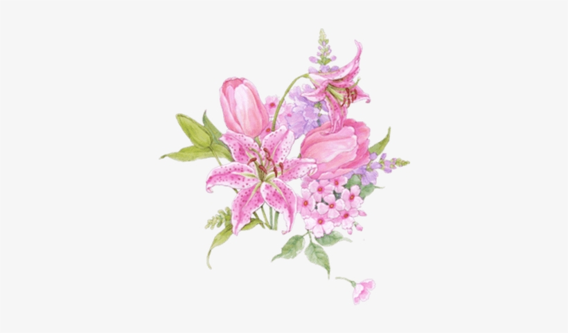 Orchids Drawing Transparent Png - Пнг Цветов, transparent png download