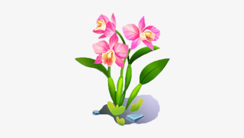 Amazonian Orchid - Orchids, transparent png download
