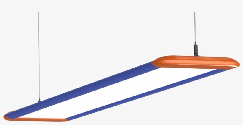 Florida Gators, transparent png download