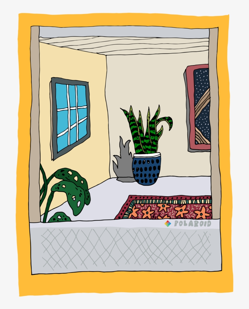 Poloro#square-01 - Portable Network Graphics, transparent png download