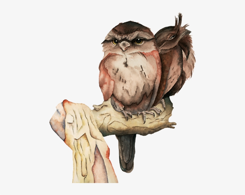 Click And Drag To Re-position The Image, If Desired - Owl Siblings Watercolor Painting, transparent png download