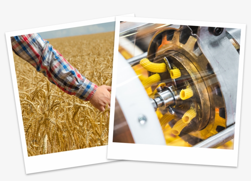 How - Industrial Pasta Cutter, transparent png download