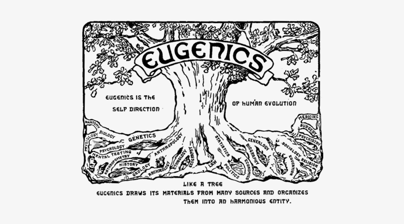 Laughlin, The Second International Exhibition Of Eugenics - Eugenics Canada, transparent png download