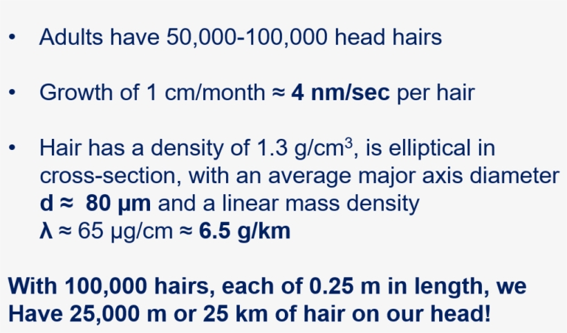 This Brings Us To An Important Point In Mathematical - Perforated Neoprene, transparent png download