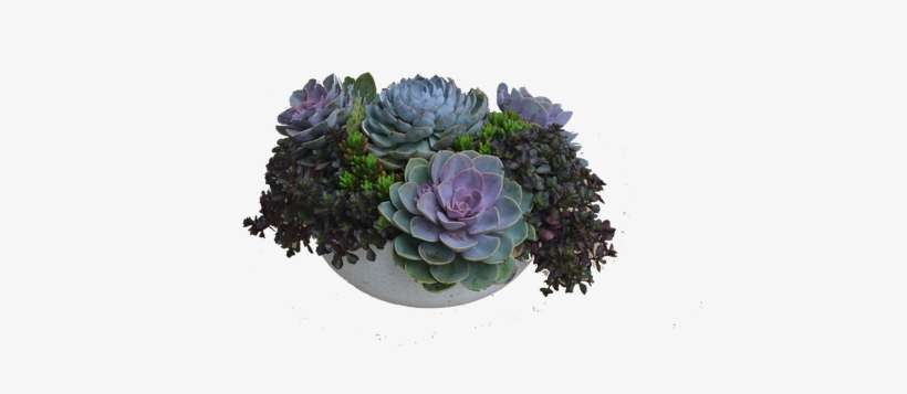 Sample Of Medium - Garden Design, transparent png download