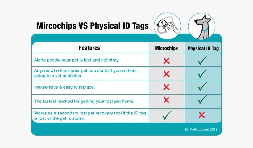 The Information On The Microchip Is Not Up To Date - Pet Microchip Info, transparent png download