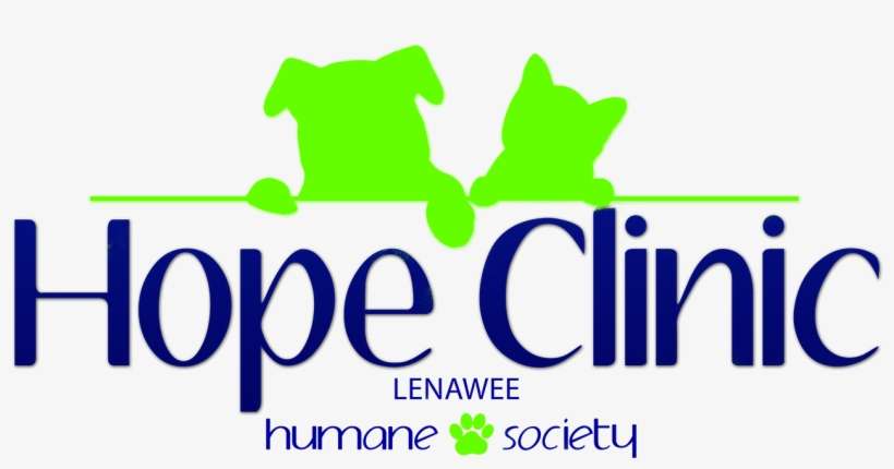 Microchipping - Purple Ninja Justin Bieber, transparent png download