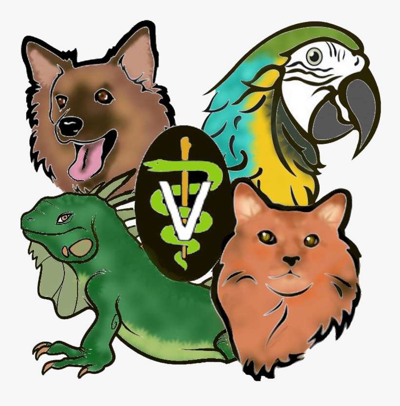Special Services - Animal Medical Hospital Of Centereach, transparent png download