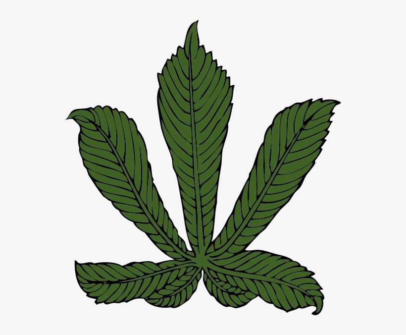 Horse Chestnut Leaf Clip Art Free Vector - Horse Chestnut Leaf Png, transparent png download