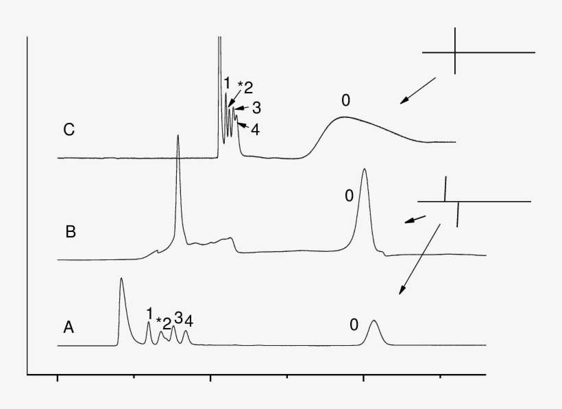Electropherogram Demonstrating Preconcentration Via - Diagram, transparent png download