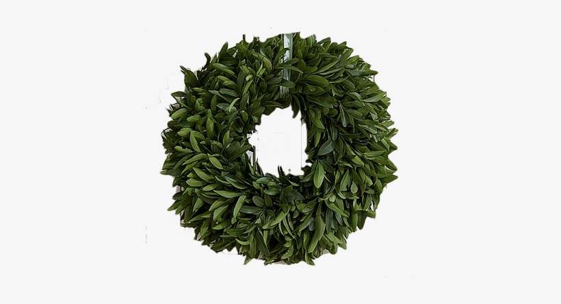 Laurel Wreath, transparent png download