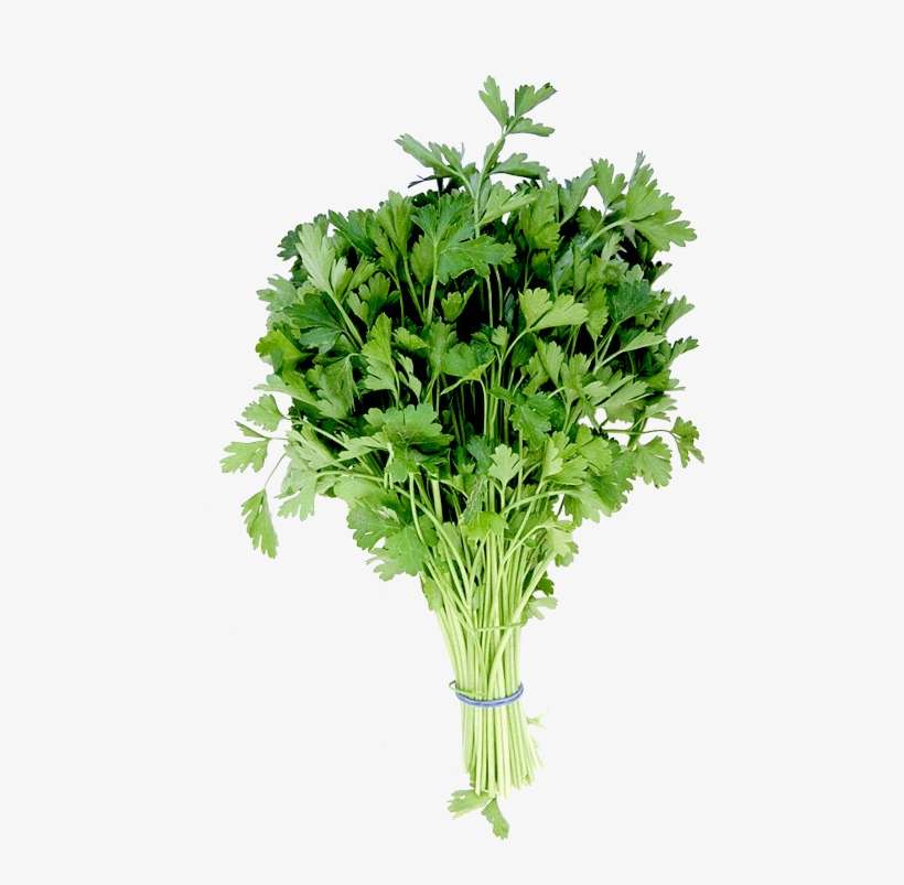 Publicat De Eu Ciresica La - Parsley, transparent png download