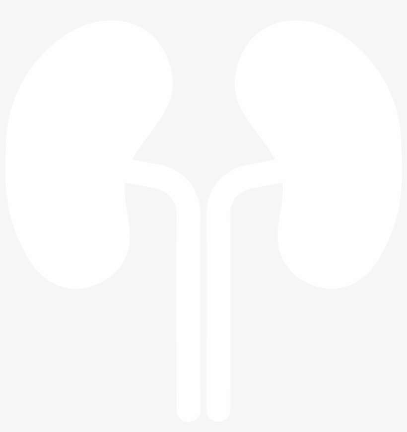 Urology Waco - Kidney White Icon Png, transparent png download