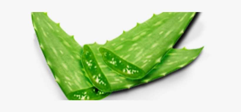 Aloe Png Hd - Mancine Kiwi And Aloe Hard Wax 500 Gm, transparent png download