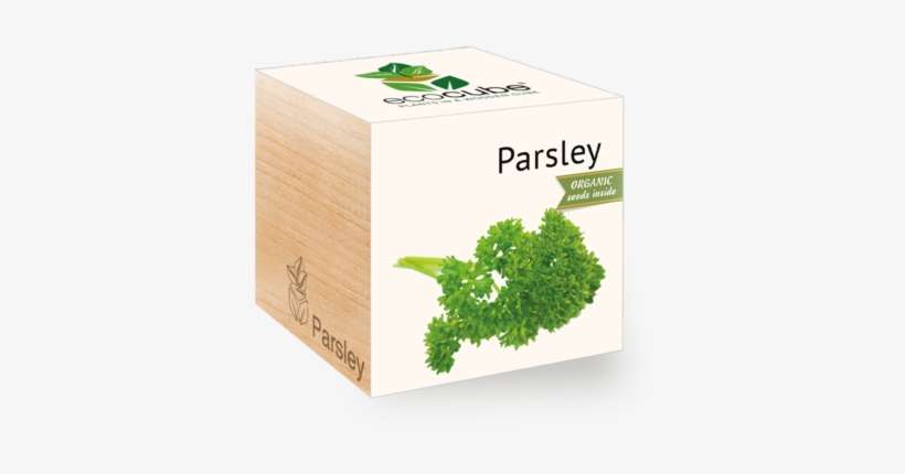 Rosemary - Feelgreen Gyo Biodegradable Ecocube Parsley Seeds, transparent png download