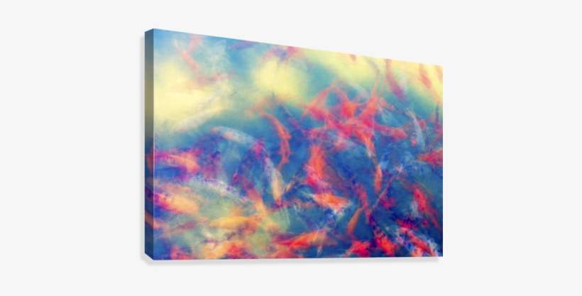 Flashes Of Koi Canvas Print - Poster, transparent png download