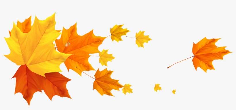 Fall Leaf Png Border Download - Leafs Png, transparent png download