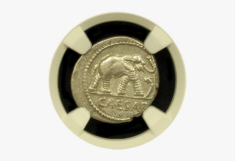Julius Caesar Silver Denarius Ngc About Uncirculated - Silver, transparent png download