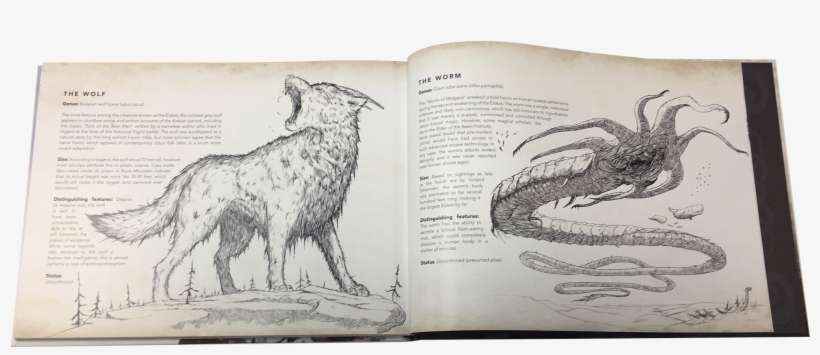 Fall Of Gods - Publishing, transparent png download