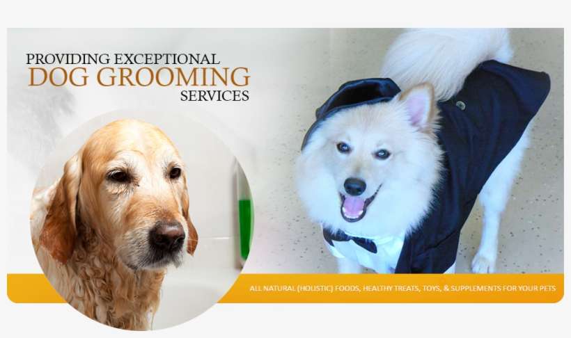 Welcome To Happy Dog Wash - Companion Dog, transparent png download