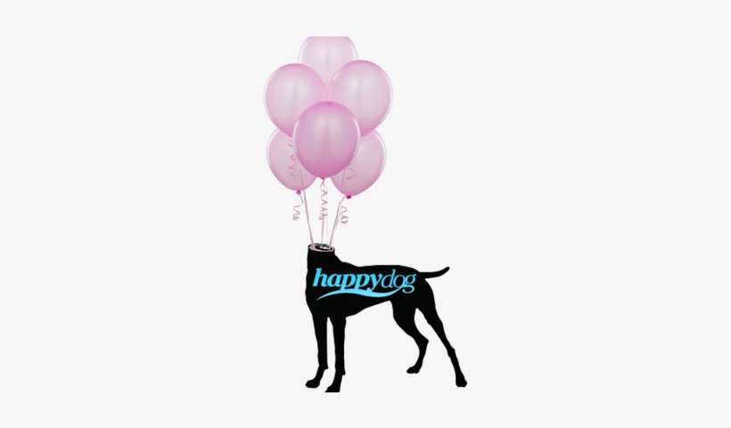 Happy Dog Gallery - Ruffwear Cloud Chaser Size, transparent png download