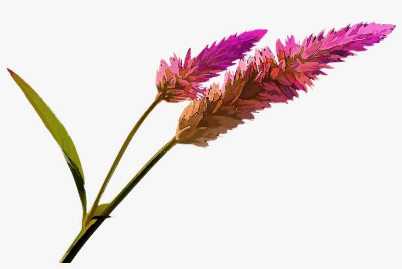 Painting, Scrapbook, Art, Creative, Flower - Portable Network Graphics, transparent png download