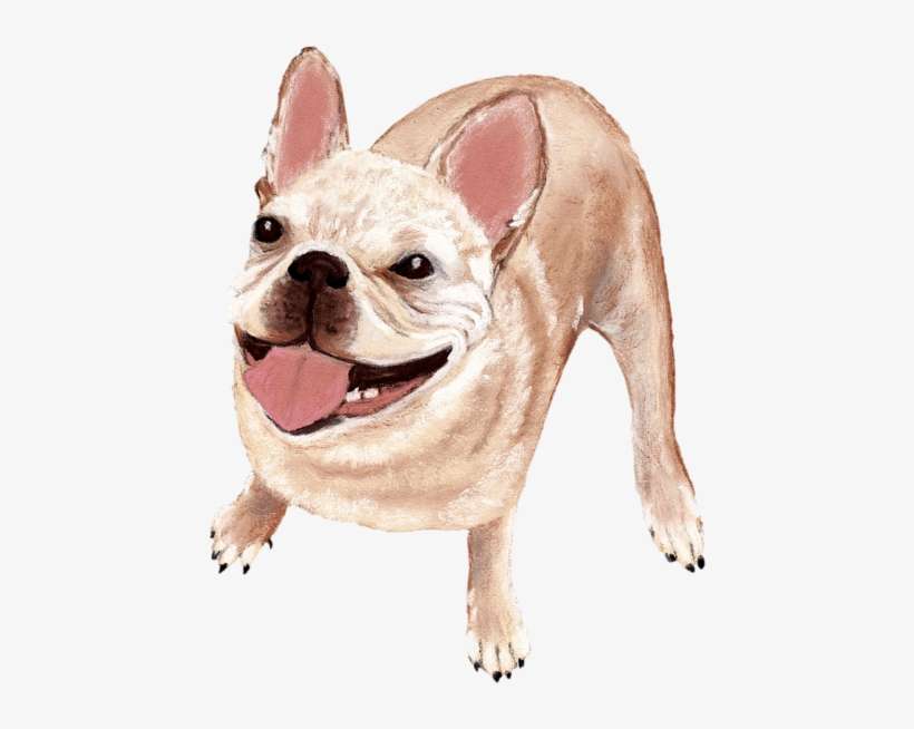 Click And Drag To Re-position The Image, If Desired - Dog, transparent png download
