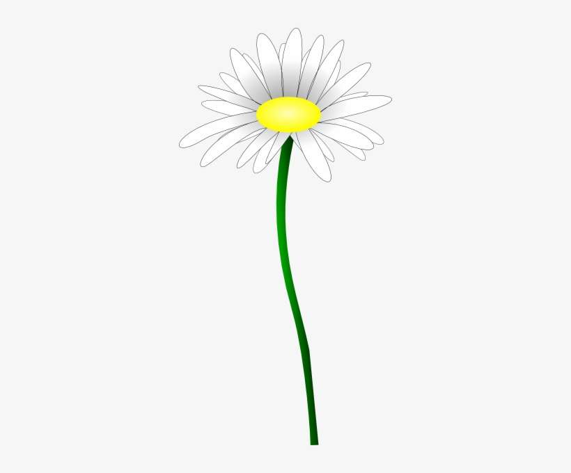 How To Set Use Daisy Flower Clipart, transparent png download