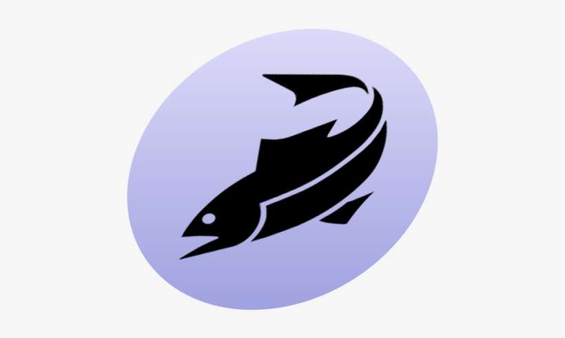 Fish P Icon - Fish Icon, transparent png download