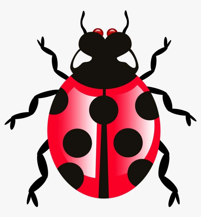 Bug Icon Transparent Png - Portable Network Graphics, transparent png download