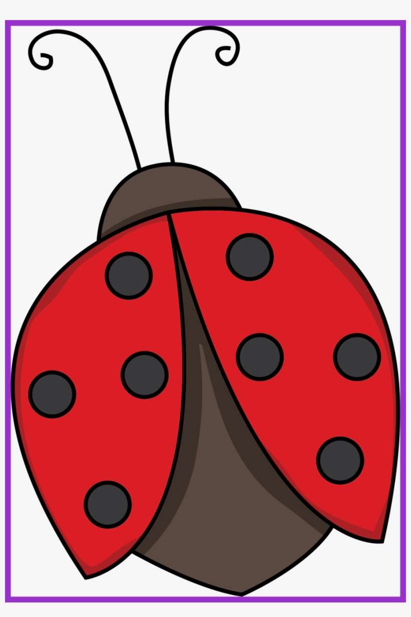 Stunning Flying Black And - Lady Bug Clipart Png, transparent png download