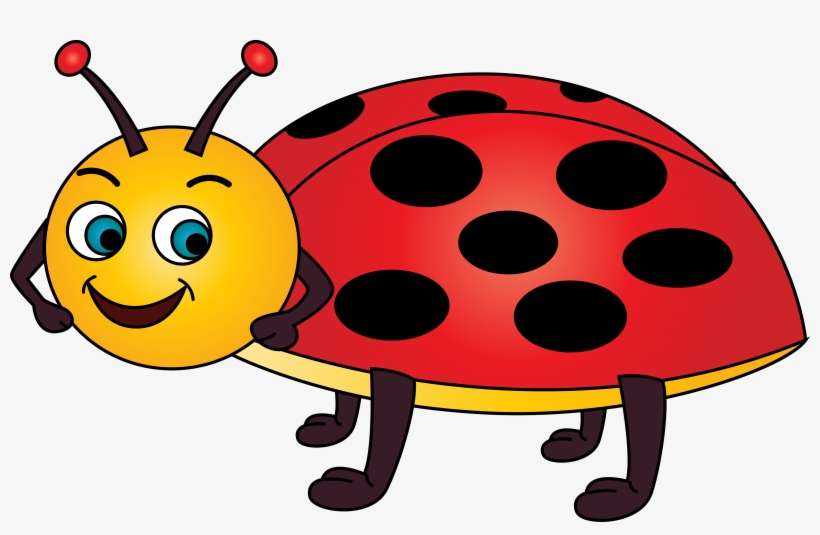 Ladybug Vector - Lady Bird Clip Art, transparent png download